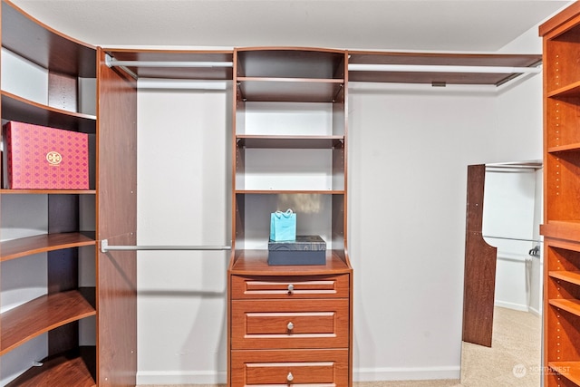 walk in closet with carpet floors