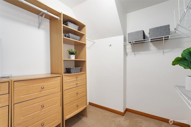 walk in closet with light colored carpet