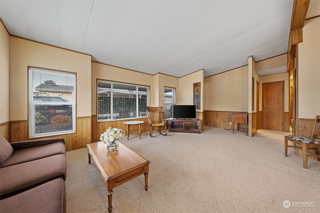 living room featuring carpet flooring