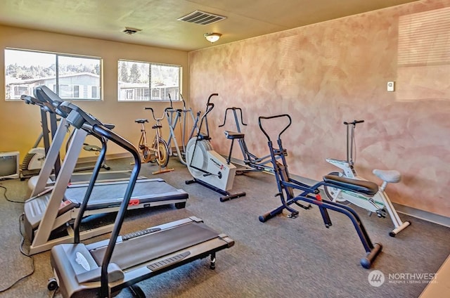 workout area with carpet