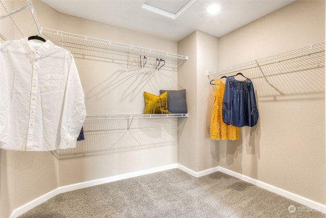 walk in closet with carpet flooring