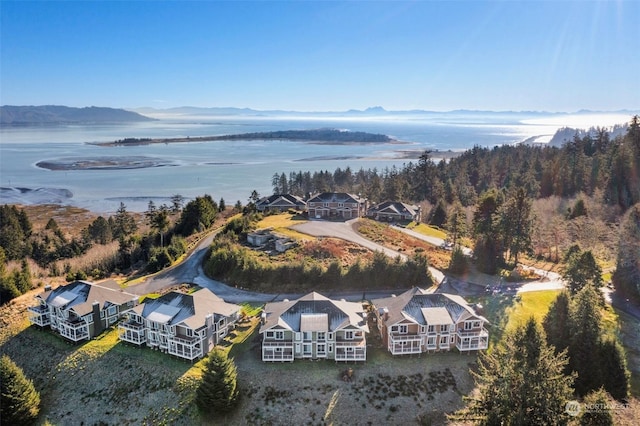 3250 Overlook Loop, Ilwaco, WA 98624 - bird's eye view with a water and mountain view