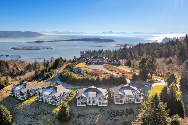 bird's eye view with a water and mountain view