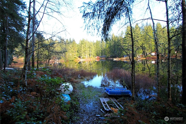 291 NE Collins Lake Dr, Tahuya, WA 98588 - photo 9