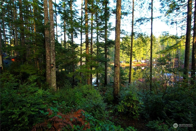 291 NE Collins Lake Dr, Tahuya, WA 98588 - photo 12