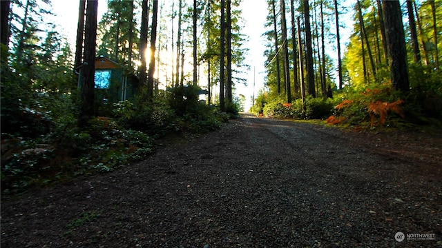 291 NE Collins Lake Dr, Tahuya, WA 98588 - photo 13