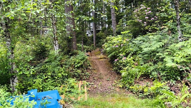 291 NE Collins Lake Dr, Tahuya, WA 98588 - photo 2