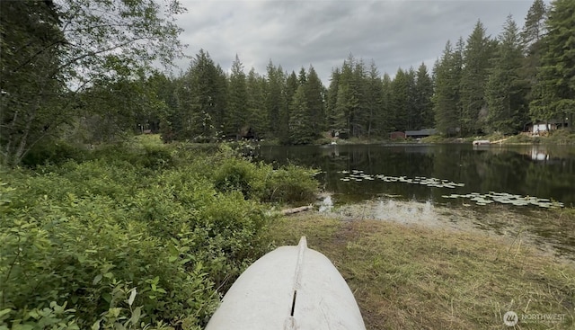 291 NE Collins Lake Dr, Tahuya, WA 98588 - photo 3