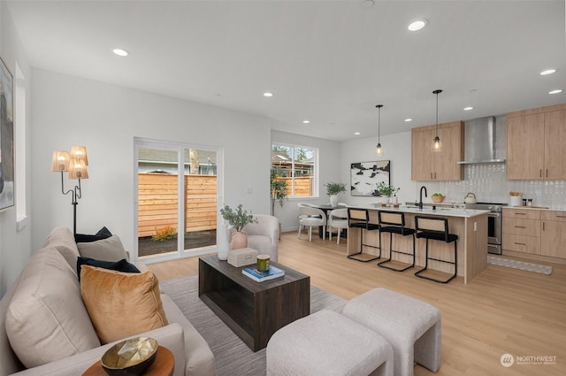 living room featuring light hardwood / wood-style floors and sink