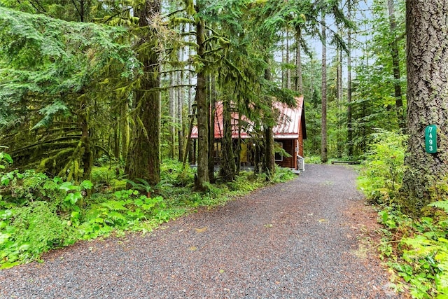 view of street with a wooded view and driveway