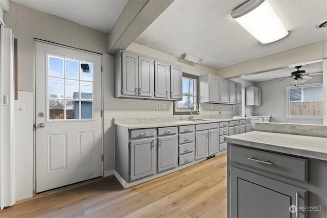 kitchen featuring gray cabinetry, a textured ceiling, ceiling fan, sink, and light hardwood / wood-style flooring