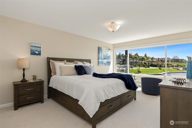 bedroom with light colored carpet