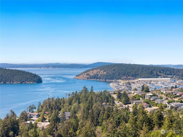 property view of water with a mountain view