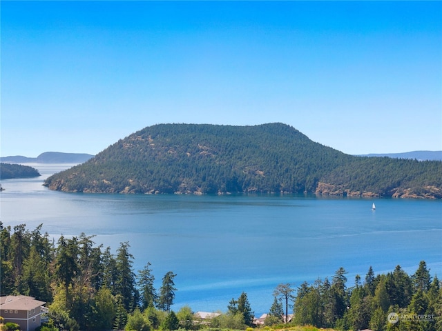 view of water feature with a mountain view