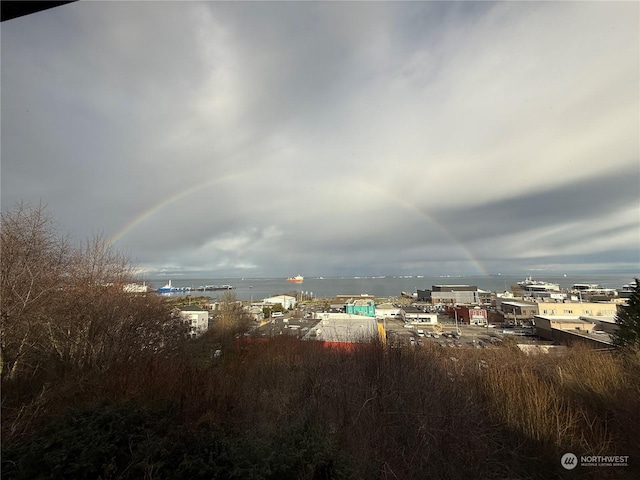 property's view of city with a water view