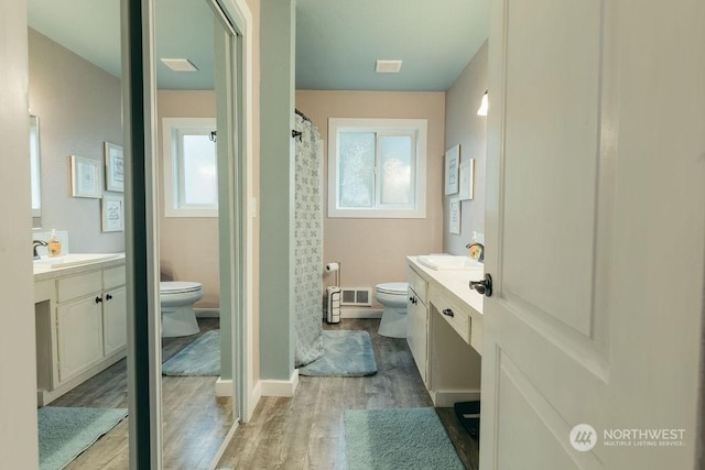 bathroom with vanity, toilet, and wood-type flooring