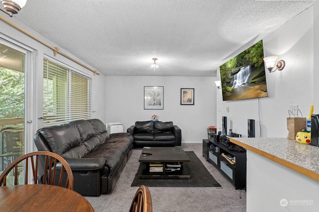 carpeted living room with a textured ceiling