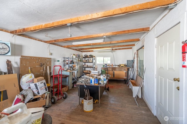 basement featuring dark hardwood / wood-style flooring and a workshop area