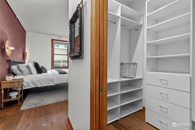 spacious closet featuring dark wood-type flooring