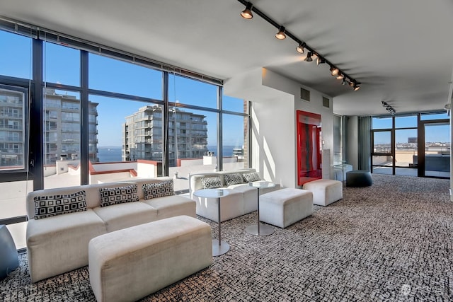 living room featuring plenty of natural light and a wall of windows