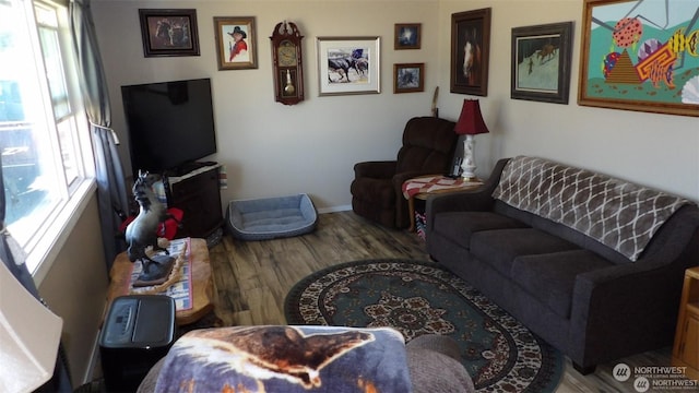 living room featuring hardwood / wood-style floors