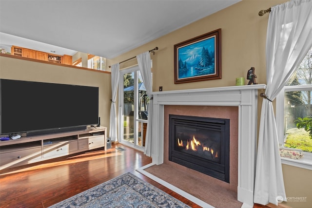 living room with wood-type flooring