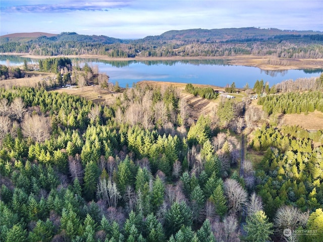 11110 Cemetery Rd, Eatonville WA, 98328 land for sale