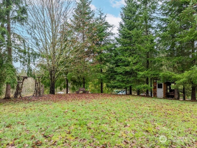 104 S Goble Creek Rd, Kelso, WA 98626 - photo 27