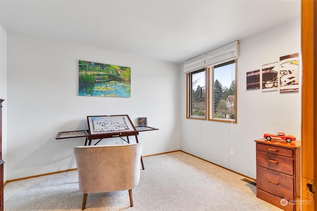 home office featuring light colored carpet