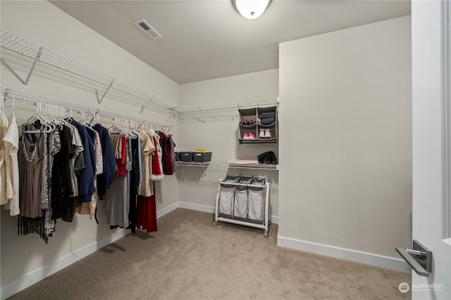 spacious closet with light carpet