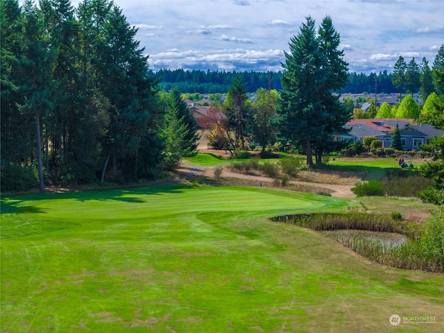 surrounding community featuring a yard