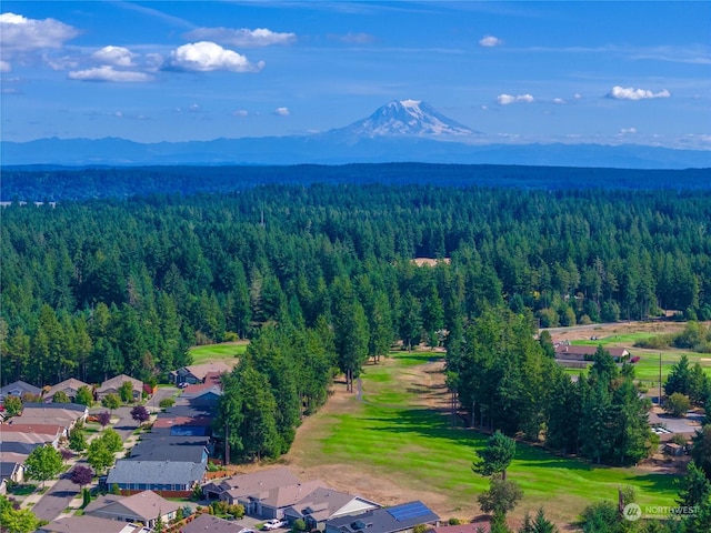 bird's eye view with a mountain view