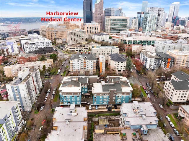 300 10th Ave Unit B-105, Seattle, WA 98122 - view of city skyline