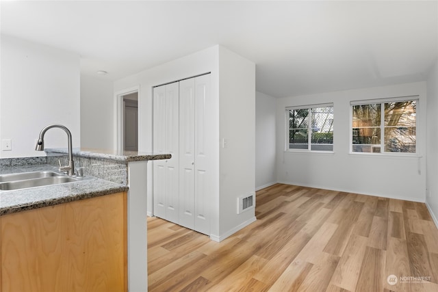 kitchen with sink and light hardwood / wood-style flooring