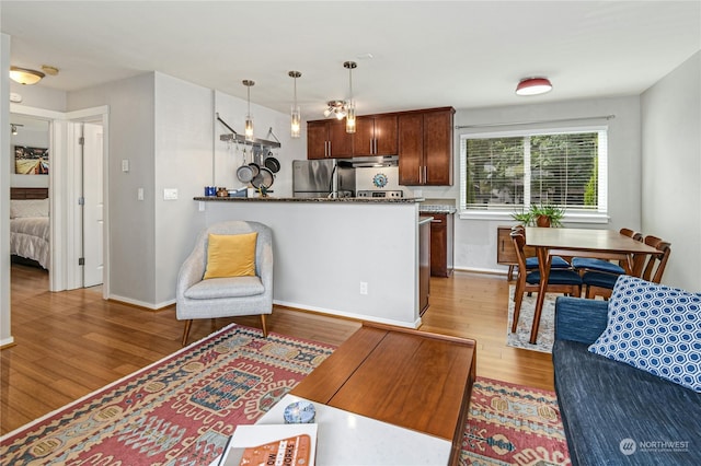 living room featuring light hardwood / wood-style floors