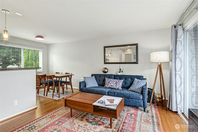 living room featuring hardwood / wood-style flooring