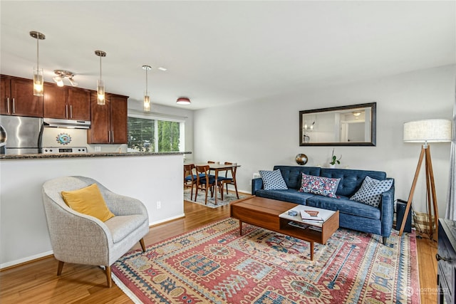 living room with light hardwood / wood-style flooring