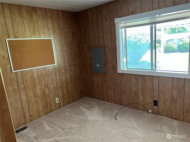 unfurnished room featuring a healthy amount of sunlight, carpet floors, and wooden walls