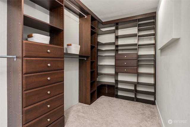 spacious closet with light carpet