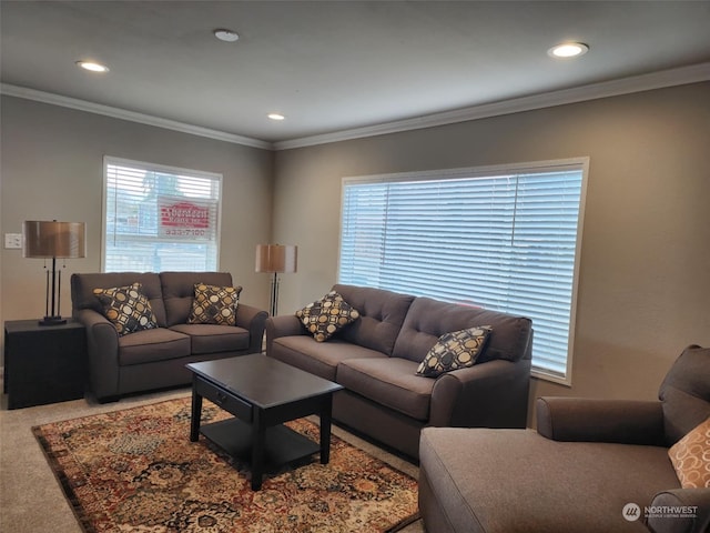 living room with carpet flooring and crown molding