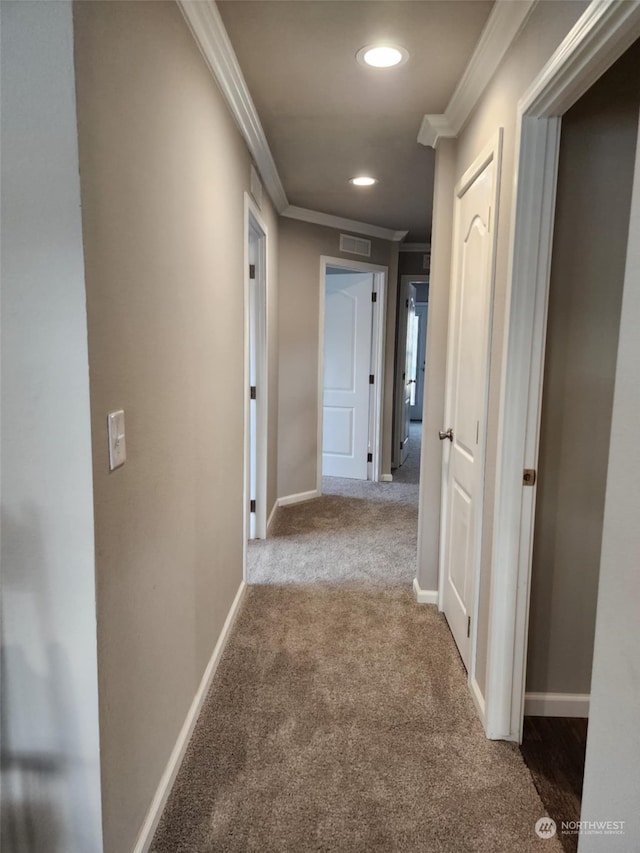 corridor featuring ornamental molding and carpet