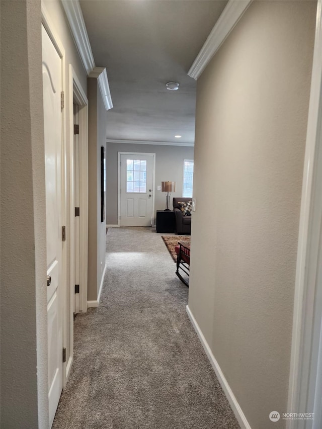 corridor with crown molding and carpet floors