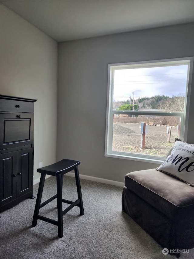 living area featuring carpet floors