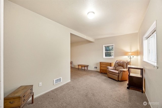 living area with light carpet and a healthy amount of sunlight