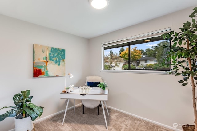 view of carpeted office space