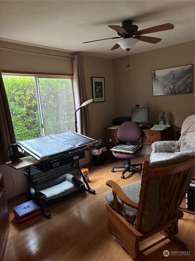 home office with ceiling fan and hardwood / wood-style floors