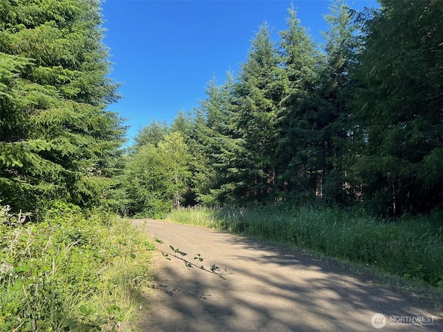 7 Beaver Hill Ln, Montesano, WA 98563 - photo 4