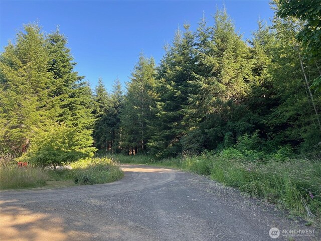 7 Beaver Hill Ln, Montesano, WA 98563 - photo 3