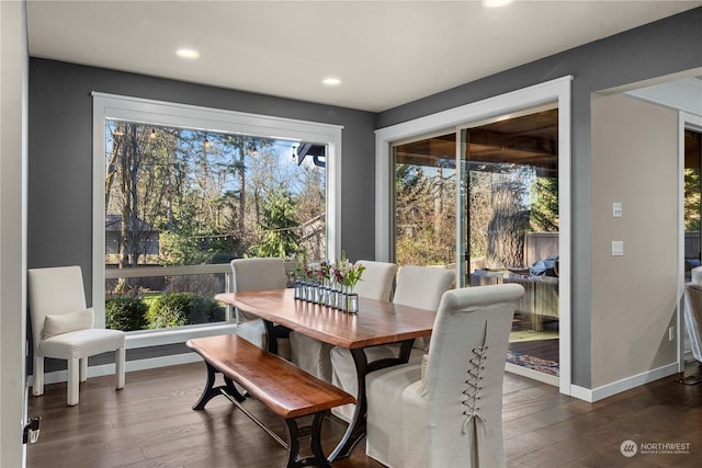 dining room with dark hardwood / wood-style floors and a healthy amount of sunlight