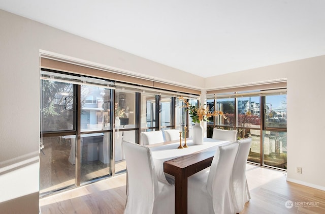 unfurnished dining area featuring light hardwood / wood-style flooring